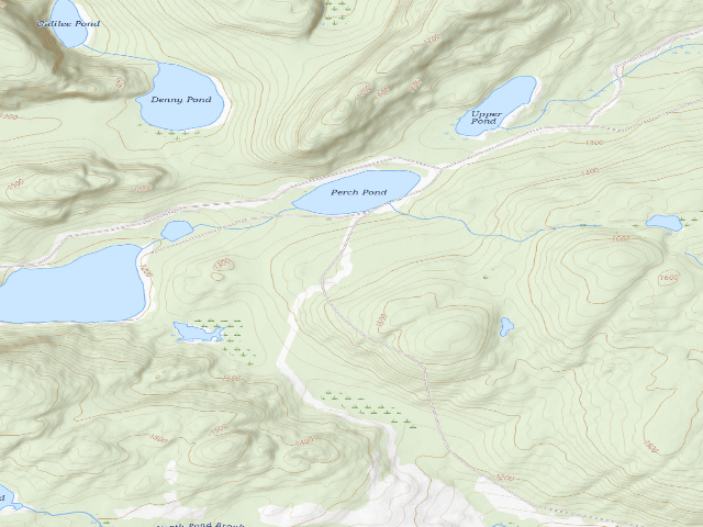 USGS topographic map of Perch Pond Woodland (Deboullie Public Land)