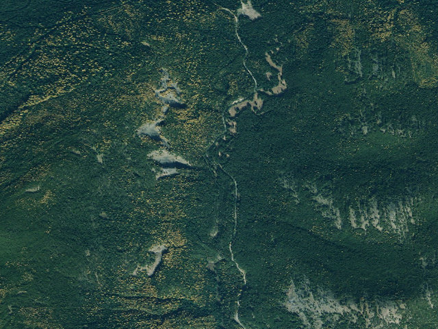 Aerial image of Pete Creek Meadow