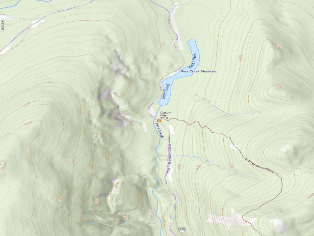 USGS topographic map of Pete Creek Meadow