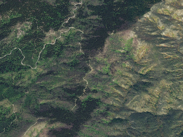 Aerial image of Pete Forks Junction Camp