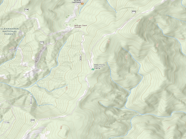 USGS topographic map of Pete Forks Junction Camp