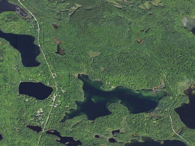 Aerial image of Petes Lake Recreation Area