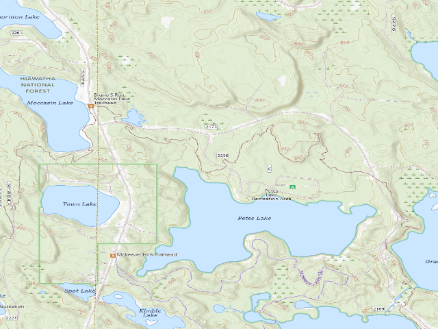 USGS topographic map of Petes Lake Recreation Area