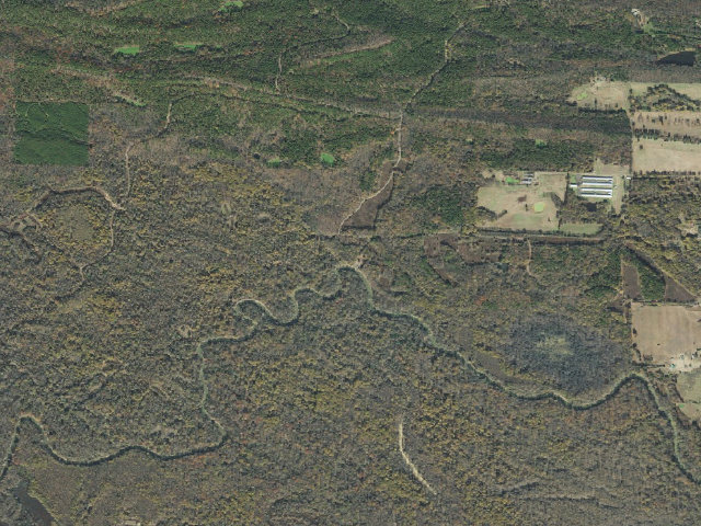 Aerial image of Petit Jean River WMA Camping Area #1