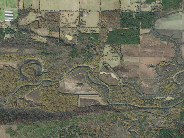 Aerial image of Petit Jean River WMA Camping Area #3