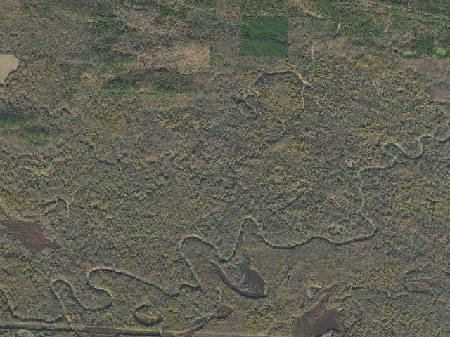 Aerial image of Petit Jean WMA Camping Area #1