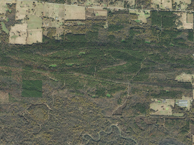 Aerial image of Petit Jean WMA Camping Area #2