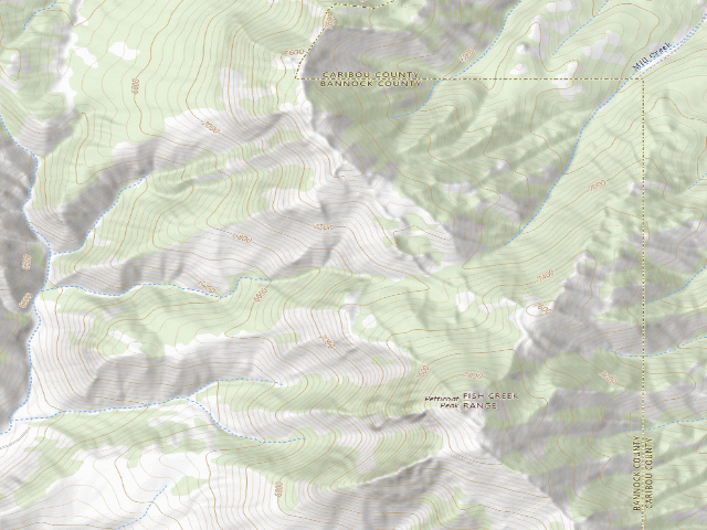 USGS topographic map of Petticoat Peak Wilderness Study Area