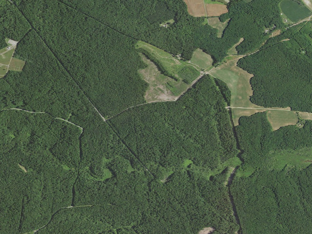 Aerial image of Pettigrew WMA