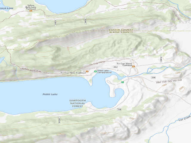 USGS topographic map of Pettit Lake Campground