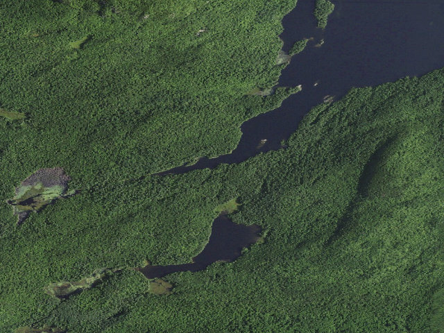 Aerial image of Pharaoh Lake PRIMITIVE TENT SITE 1 (Pharaoh Lake Wilderness)