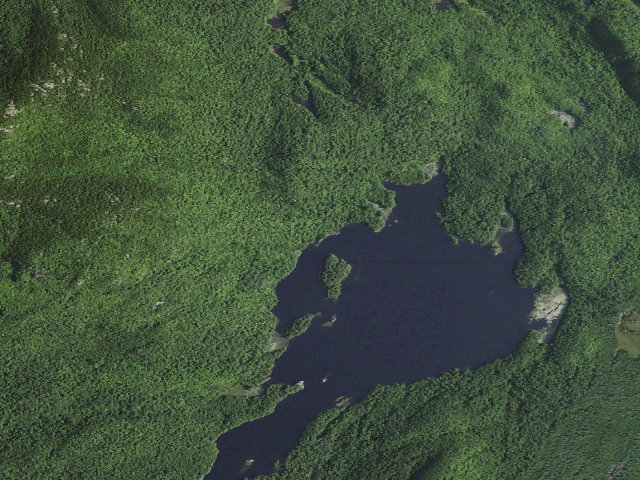 Aerial image of Pharaoh Lake PRIMITIVE TENT SITE 11 (Pharaoh Lake Wilderness)