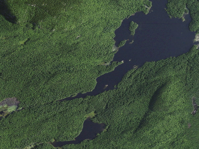Aerial image of Pharaoh Lake PRIMITIVE TENT SITE 12 (Pharaoh Lake Wilderness)
