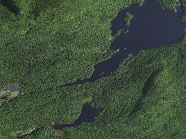 Aerial image of Pharaoh Lake PRIMITIVE TENT SITE 13 (Pharaoh Lake Wilderness)