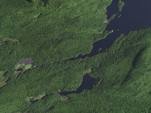 Aerial image of Pharaoh Lake PRIMITIVE TENT SITE 14 (Pharaoh Lake Wilderness)