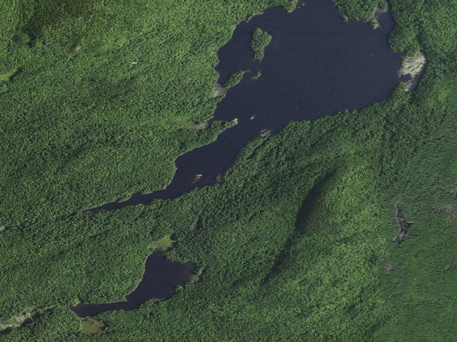 Aerial image of Pharaoh Lake PRIMITIVE TENT SITE 2 (Pharaoh Lake Wilderness)