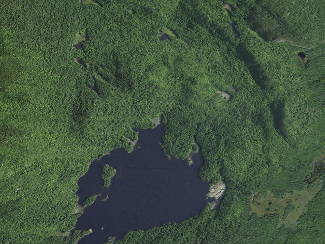 Aerial image of Pharaoh Lake PRIMITIVE TENT SITE 7 (Pharaoh Lake Wilderness)