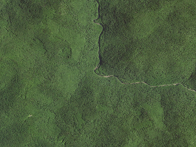 Aerial image of Pheasant Hollow Shelter