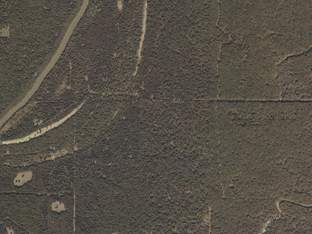 Aerial image of Phil Bryant WMA camp site 1