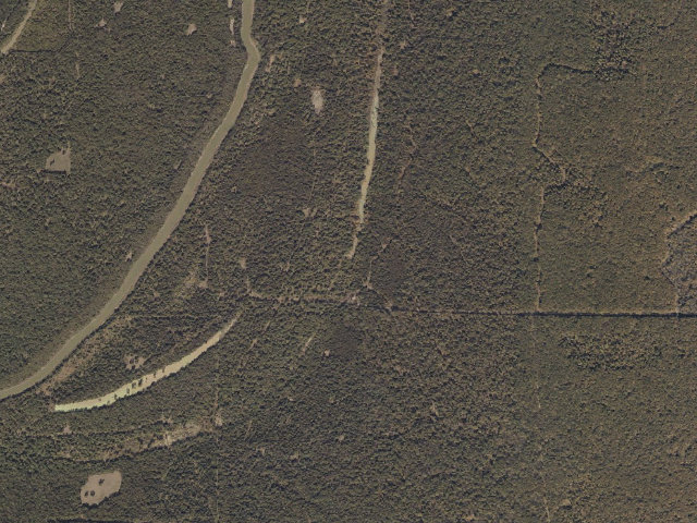 Aerial image of Phil Bryant WMA camp site 2