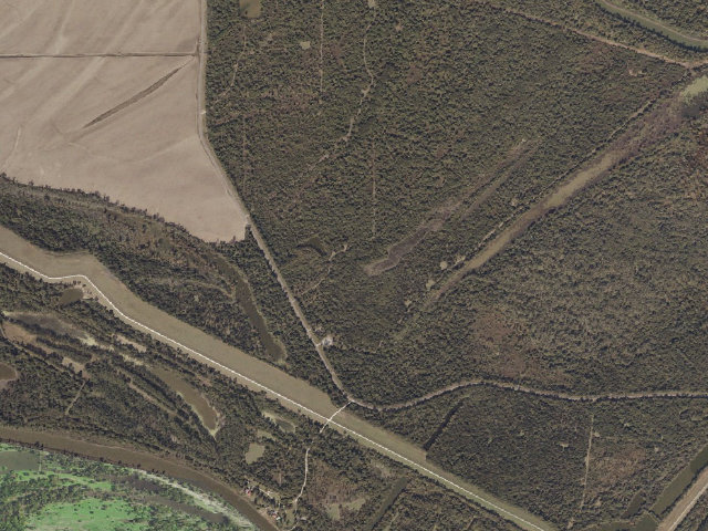 Aerial image of Phil Bryant WMA camp site 3