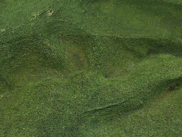 Aerial image of Phoenicia East Branch Trail primitive tent site [DEC #228996] (Slide Mountain Wilderness)