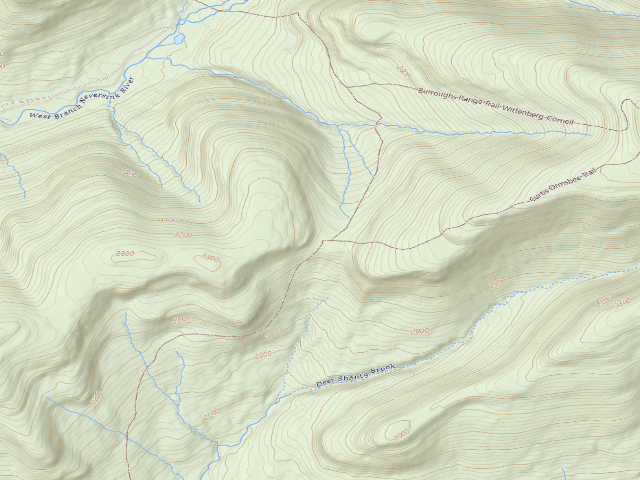 USGS topographic map of Phoenicia East Branch Trail primitive tent site [DEC #228996] (Slide Mountain Wilderness)
