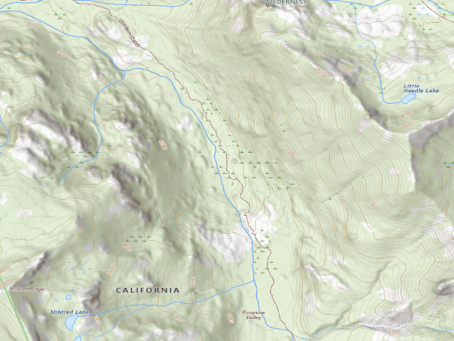 USGS topographic map of Picayune