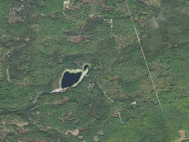 Aerial image of Pickerel Lake (Otsego) State Forest Campground
