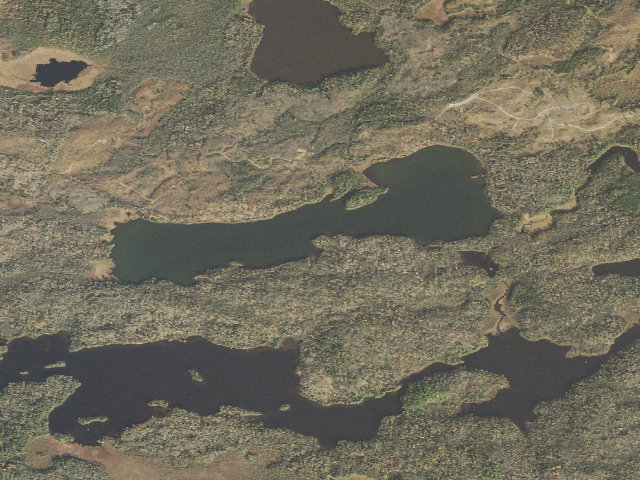 Aerial image of Pickerel Lake Site 1