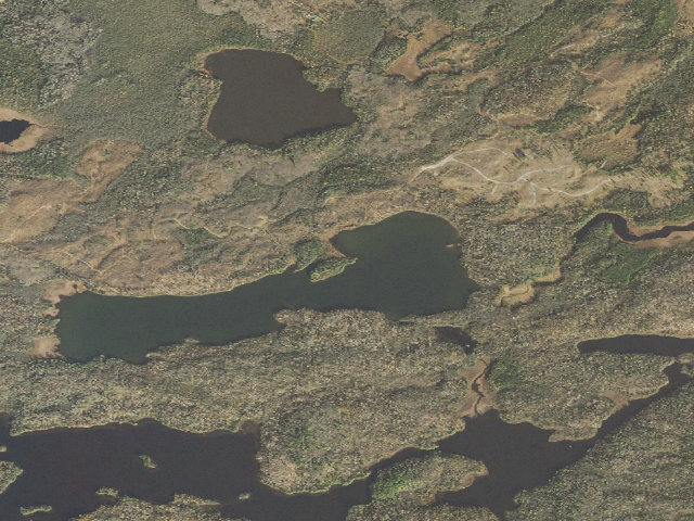 Aerial image of Pickerel Lake Site 2