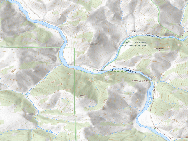 USGS topographic map of Pickeroon