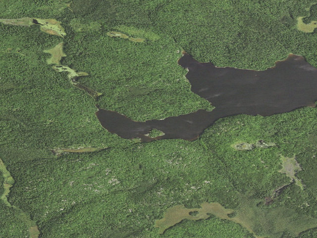 Aerial image of Picket Lake Site 1