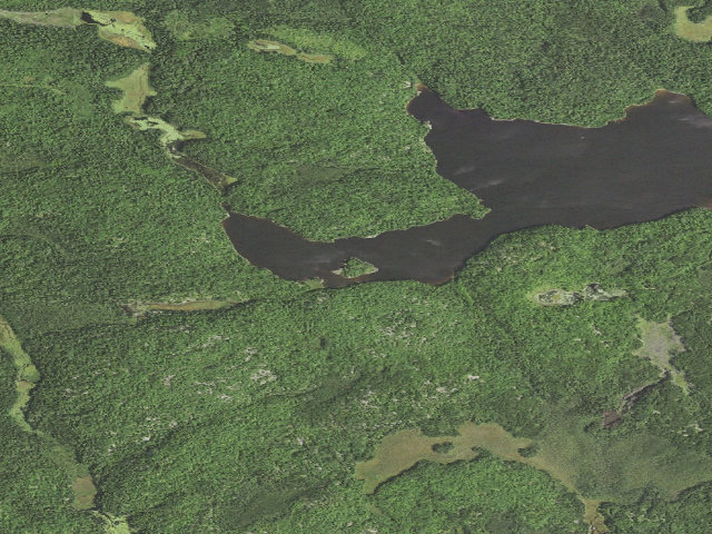 Aerial image of Picket Lake Site 2