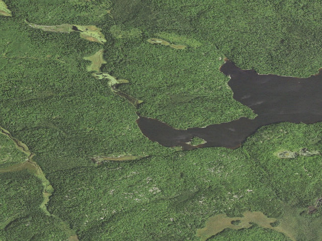 Aerial image of Picket Lake Site 3