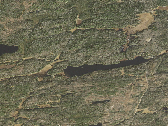 Aerial image of Pickett Lake Site 1