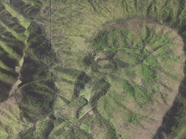 Aerial image of Pickle Branch A.T. Shelter