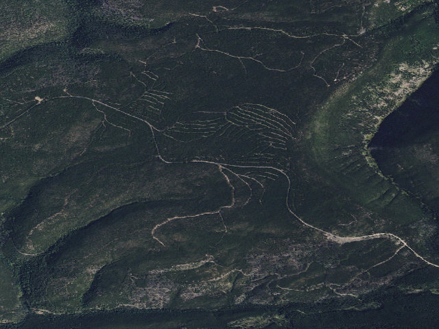 Aerial image of Pierce Park Rd 189-1