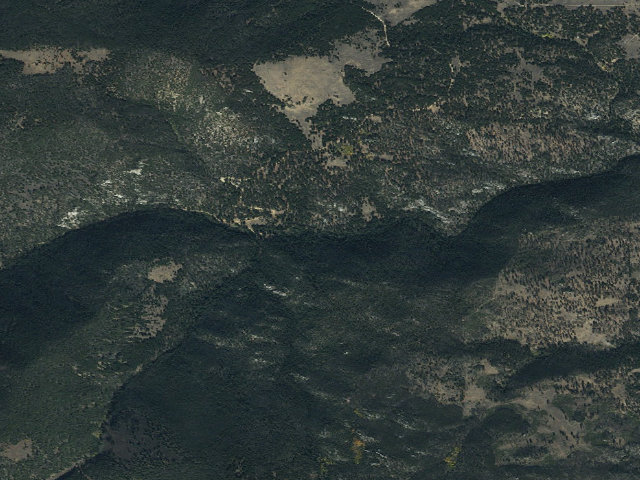 Aerial image of Pigeon Creek Campground