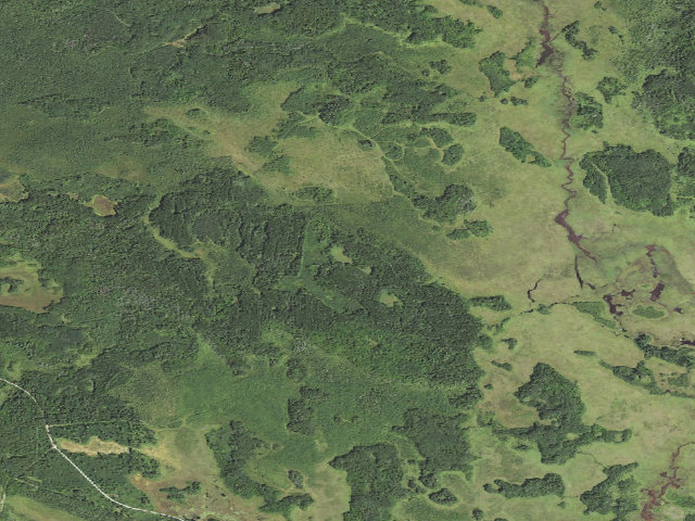 Aerial image of Pigeon Lake Dam D42
