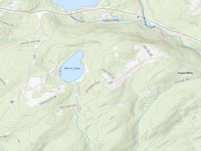 USGS topographic map of Pinchot State Forest roadside campsite Moon Lake 010