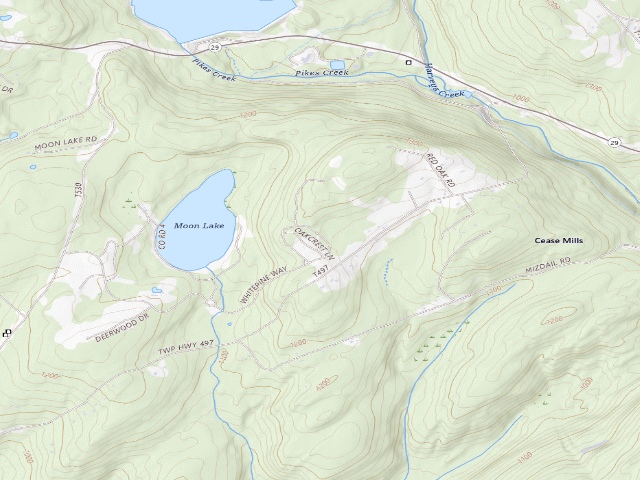USGS topographic map of Pinchot State Forest roadside campsite Moon Lake 011