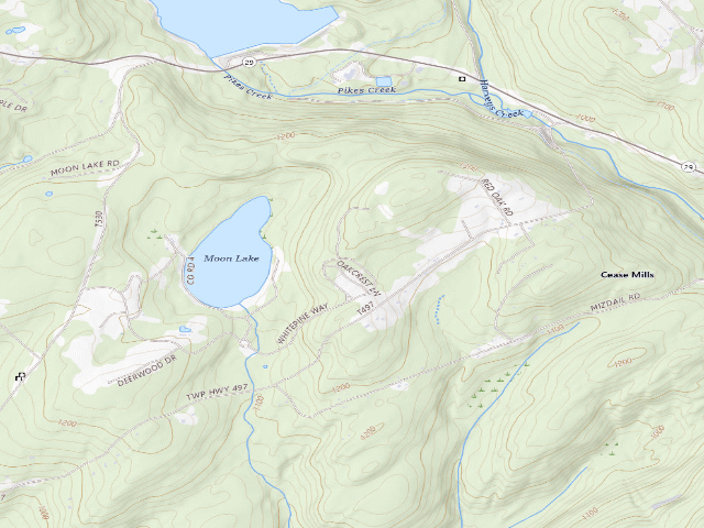 USGS topographic map of Pinchot State Forest roadside campsite Moon Lake 012