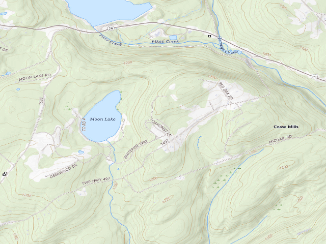 USGS topographic map of Pinchot State Forest roadside campsite Moon Lake 004