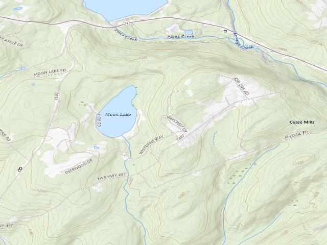 USGS topographic map of Pinchot State Forest roadside campsite Moon Lake 009