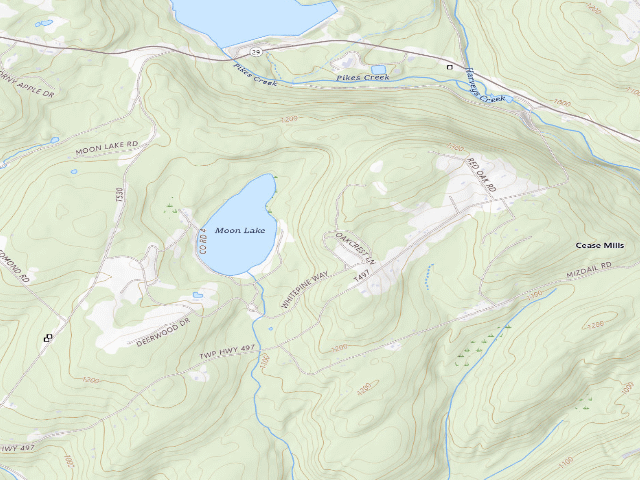 USGS topographic map of Pinchot State Forest roadside campsite Moon Lake 008