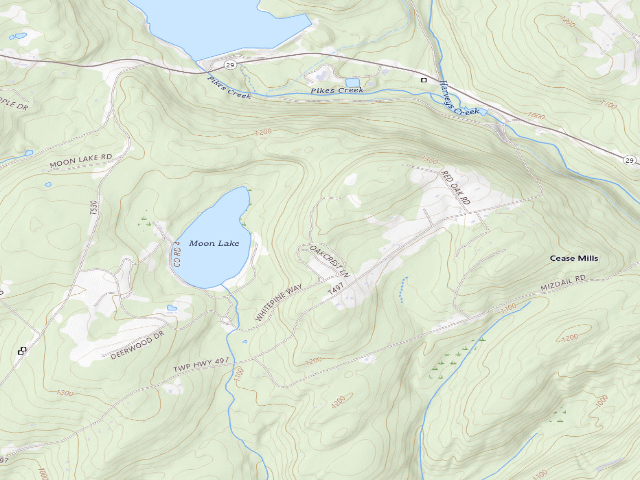 USGS topographic map of Pinchot State Forest roadside campsite Moon Lake 005