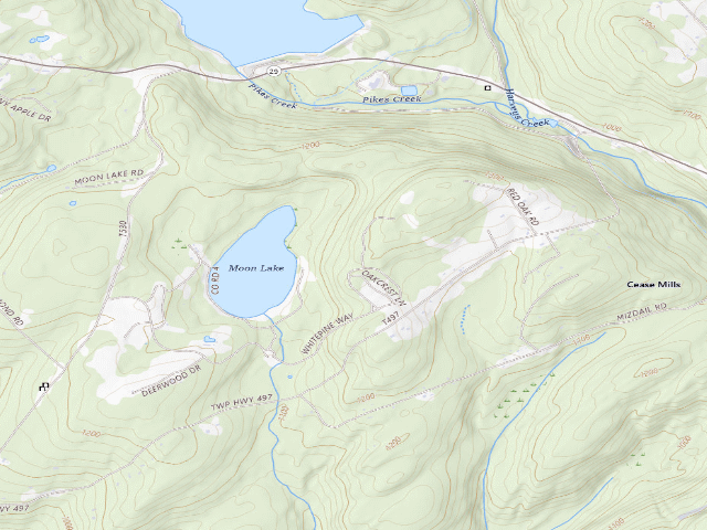 USGS topographic map of Pinchot State Forest roadside campsite Moon Lake 007