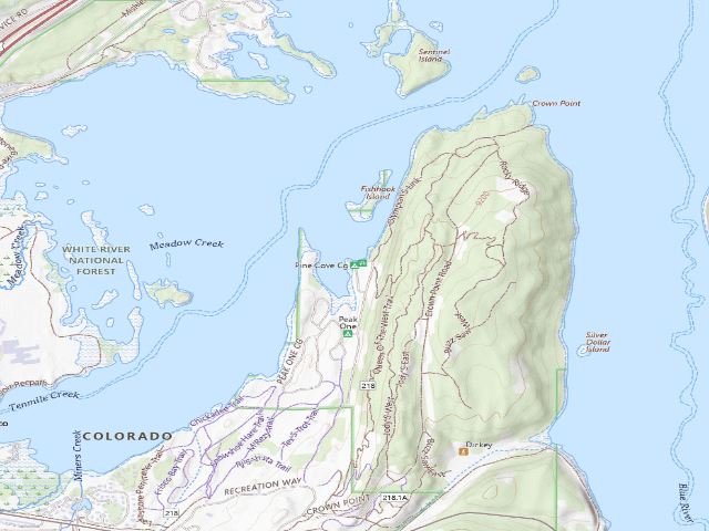 USGS topographic map of Pine Cove Cg