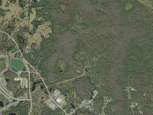 Aerial image of Pine Flats (Cypress Creek Preserve)